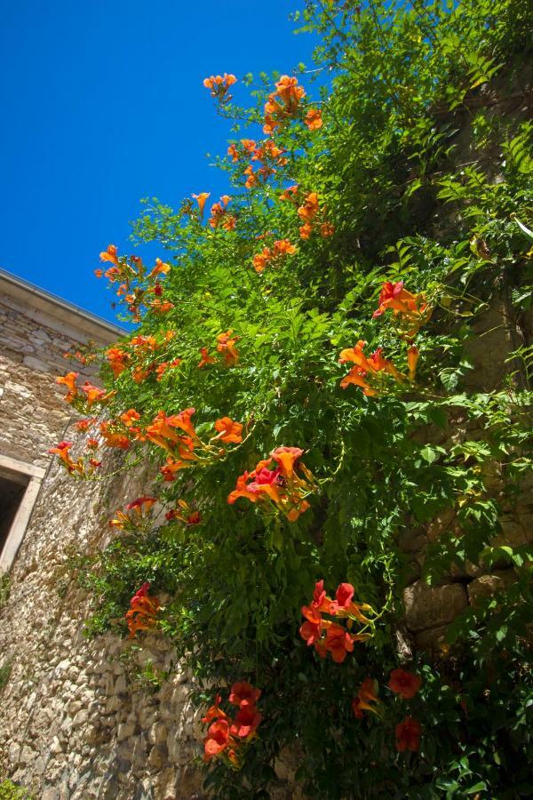 Apartman Ana Skradin Buitenkant foto
